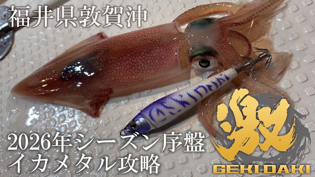 Ika-Metal] 2026 Early Season Ika-Metal Strategy in Tsuruga, Fukui