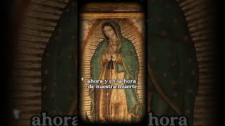 Santa María, Madre de Dios, acompáñanos siempre