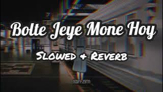 Bolte Jeye Mone Hoy|| বলতে যেয়ে মনে হয়||Slowed & Reverb||tαn-zim#song #banglasong #viral #sad ||🌸❤