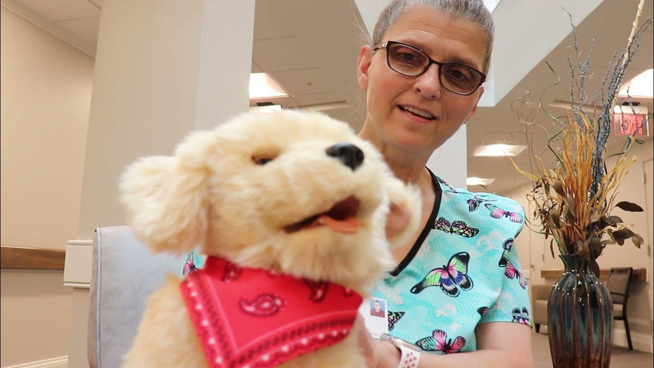 What is The Aurora Luxury Assisted Living at Otterbein YouTube