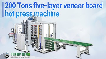 Automatic 200 Tons Five Layers Veneer Board Hot Press Machine