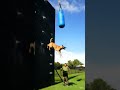 Belgian Malinois INSANE Wall Climb & Long Jump 😱🐕