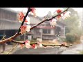 雨の庭