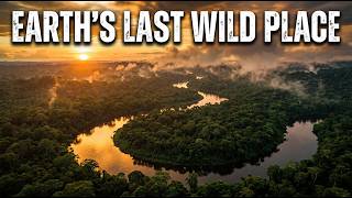 The Amazon Basin: The Side Most People Will Never See | Travel Documentary