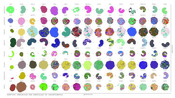 Adaptive Camouflage and Morphology of Invertebrates