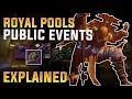 ALL Public Events in Royal Pools Patrol Explained | Destiny 2 Season of Haunted