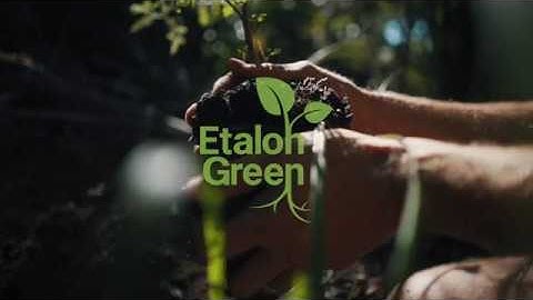 Balance your carbon footprint by planting trees