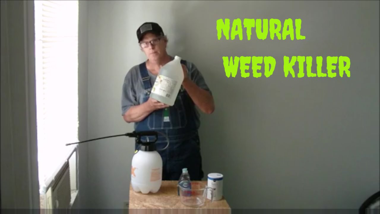 How to Make a Natural Weed Killer - YouTube