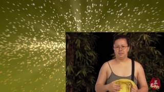 Vídeos Engraçados E Picantes Do Whatsapp 2016 Pra Morrer De Rir Ep38 720P 30Fps H264 192Kbit Aac