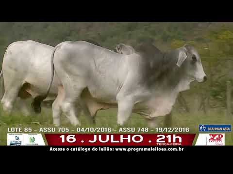 LOTE 085