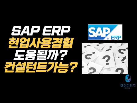 SAP ERP 현업 사용 경험이 컨설턴트 준비에 유리한 이유 준비하는 방법은?