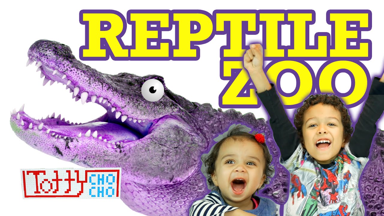 Largest REPTILE ZOO! Lizards Turtles Alligators and Kids! TottyChoCho