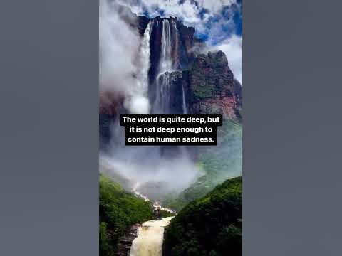 Quote from the book «Blood Meridian», an epic novel by writer Cormac