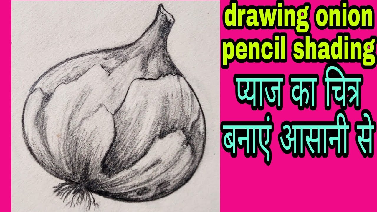 Pyaj Drawing pyaj Ka Chitra/onion pencil drawing/how to draw onion/onion memory ...