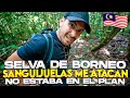 EXPLORANDO la SELVA de BORNEO | ÚNICO HOGAR de ORANGUTANES y MONOS NARIGUDOS - Gabriel Herrera