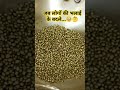 🥹🤞अपने काम से मतलब रखता है #shortsfeed #shortsvideo #recipe #motivation #bhanuja #yt  #garammasala