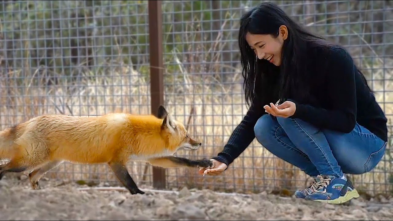 Alveus Reed Jinnytty feeds Reed with Maya at Alveus - YouTube