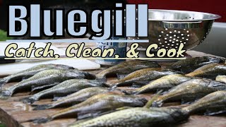 Fishing for Bluegill with worms