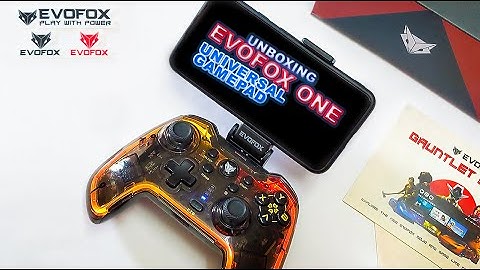 Best Budget Gamepad? EvoFox One Universal Wireless Gamepad UNBOXING! 🎮 RGB, Macros, Turbo & More!