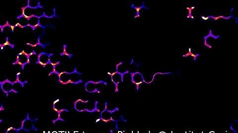 Dendritic cells attracted by chemokine