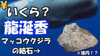 How much is ambergris? - YouTube