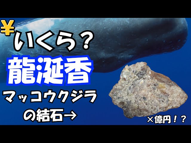 How much is ambergris? - YouTube