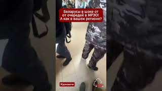 😱 150 people in line before it even opens! What's happening at the Minsk MREO? #belarusnews #zhda...