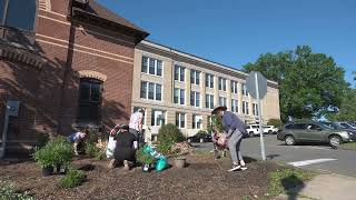 NEW: Town Hall Pollinator Garden | Volunteer Opportunity! | Wallingford CT