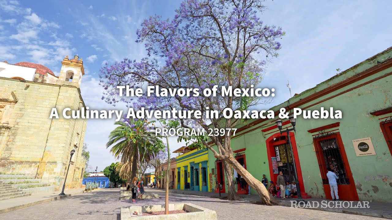 23977 - The Flavors of Mexico: A Culinary Adventure in Oaxaca