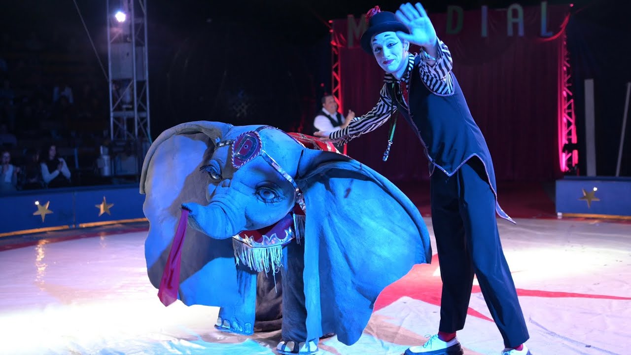 Richard Mimo - Dumbo