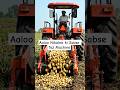 Tractor ya Magic Machine? 😱 Aise nikal raha hai Aaloo! 🚜🥔