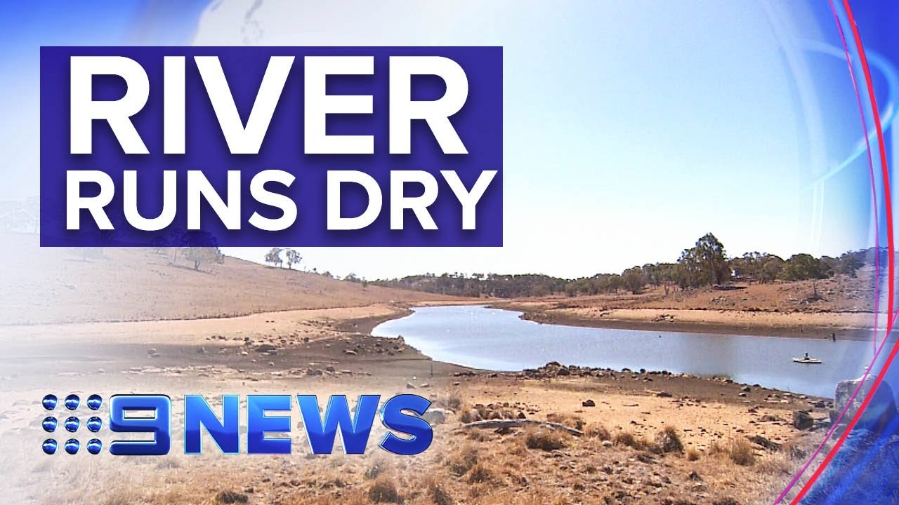 Murray Darling Authority's warning as food-bowl runs dry | Nine News Australia