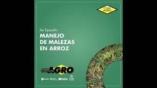 E3: Manejo de malezas en arroz