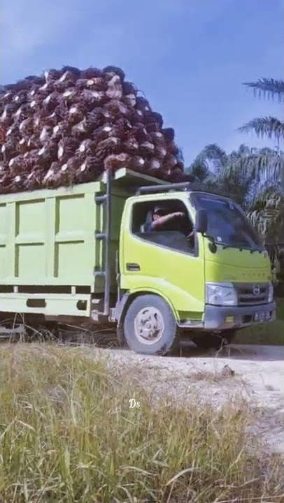 story wa truk sawit || muatan bikin geleng-geleng kepala‼️