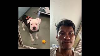#animals #sad