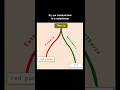 Animal 921 #metazooa #phylogeny #taxonomy #animal #animals #game #games #biodiversity #zoology