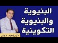 البنيوية والبنيوية التكوينية د إبراهيم حجاج