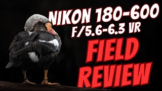 NIKON'S NEW 180-600mm f/5.6-6.3 - Field Review For Wildlife in Alaska