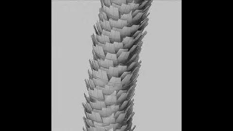 3D Model Palm 03 Review