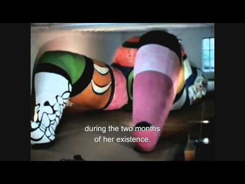 Niki de Saint Phalle et le projet Hon (english subtitles) (archive)