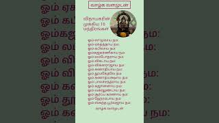 வநயகரன மககய 16 மநதரஙகள