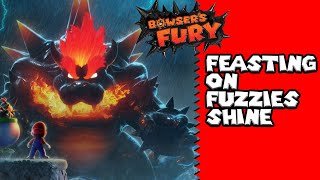 Bowser's Fury - 