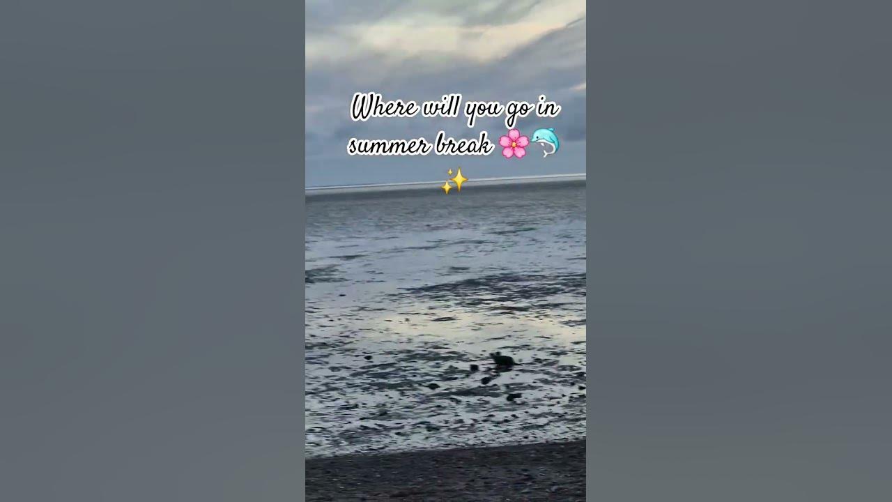 Who's going to the beach ? ✨️🐬👇 #speedsong #song