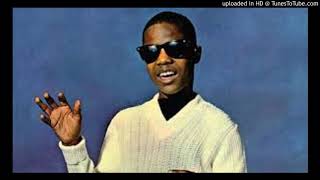 STEVIE WONDER - THE PARTY AT THE BEACH HOUSE