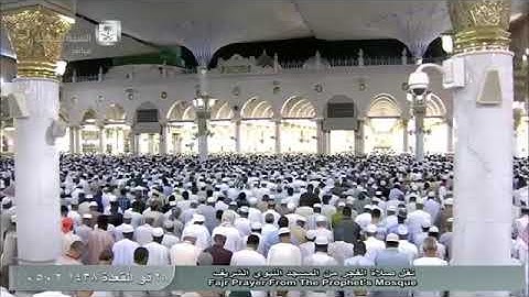سورة التحريم للشيخ أحمد بن طالب من صلاة الفجر بالمسجد النبوي 1438/11/28هـ