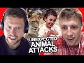 SIDEMEN REACT TO UNEXPECTED ANIMAL ATTACKS