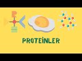 9.Sınıf Biyoloji: Organik Bileşikler - Protein