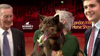 LIHS 2023 THURS ABC Jumping Grand Prix &amp; Large Dog Agility Final