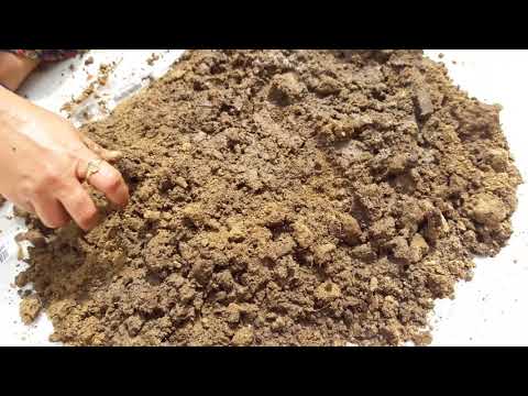 How to Prepare / Disinfect / Sterilize Soil for Next Season in June || Soil Sterilization