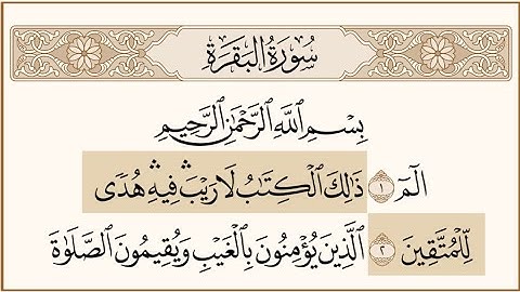 سورة البقرة - الشيخ أبو النور الشامي